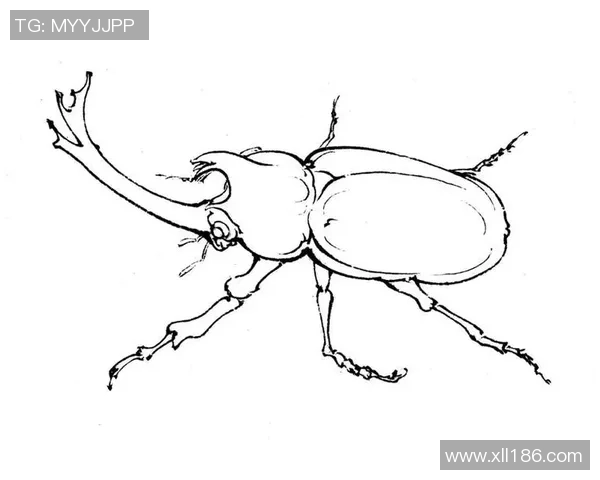 如何绘制足球球星的立体图技巧与步骤详解